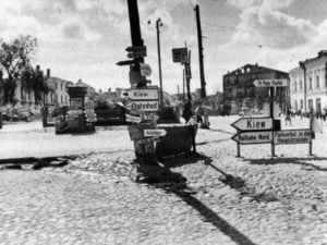 16299369 704295496415771 6513454118332574954 n