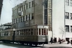 217572307 1834349383410371 7792696403743901250 n 2