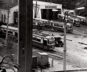 29064546 914806728697979 8436372599851178779 o 3