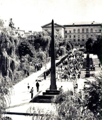 13502876 593926054119383 6021365186690003558 o