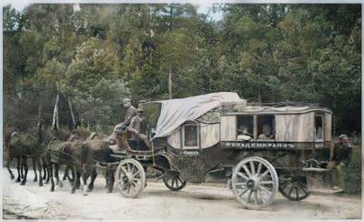 264100670 4696073270485734 6415981920772360028 n