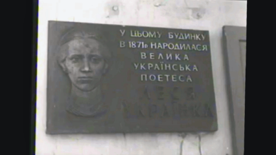 Snymok pleera