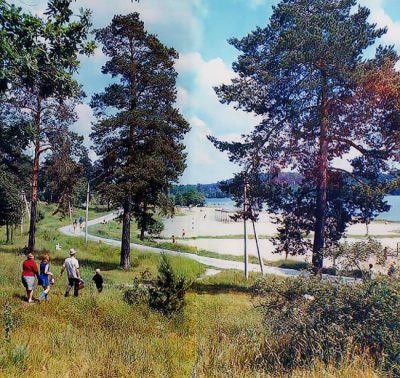 20526331 802194546625865 2754170378589999623 n 802194546625865