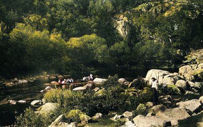 15304409 672435969601724 6018954521766913056 o 672435969601724