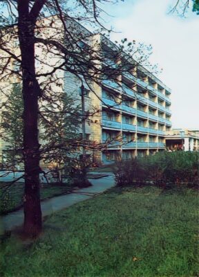 Лісовий берег