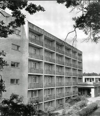 Житомирська турбаза "Лісовий берег" 1 Лісовий берег